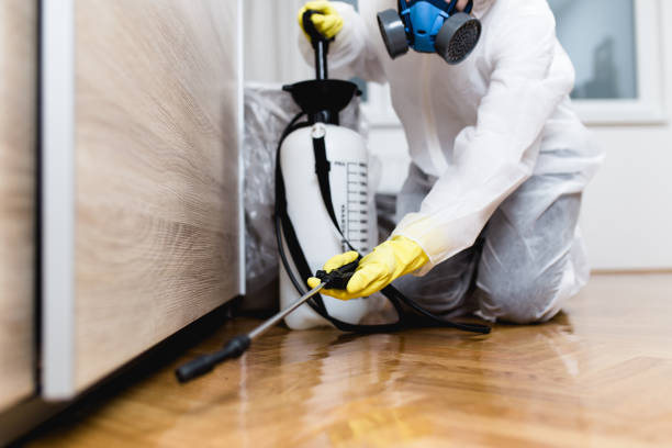 Best Wasp Removal Services  in Four Corners, MD