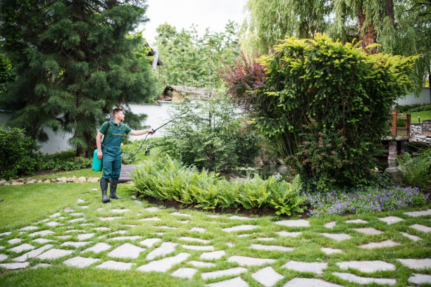 Best Affordable Pest Control Services  in Four Corners, MD