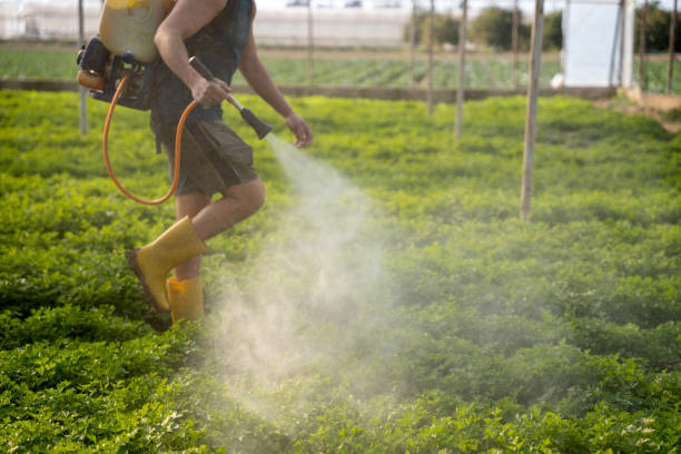 Best Affordable Pest Control Services  in Four Corners, MD