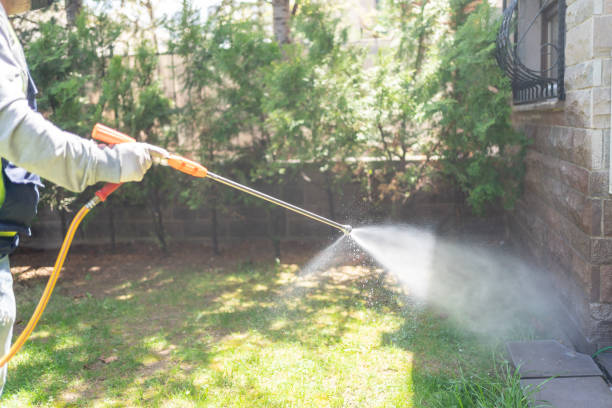 Best Flea Control Services  in Four Corners, MD