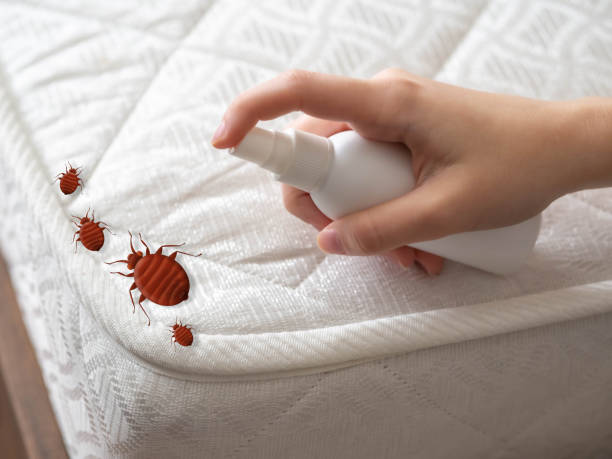 Best Pest Prevention Services  in Four Corners, MD